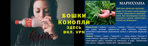 мяу мяу мука Инта