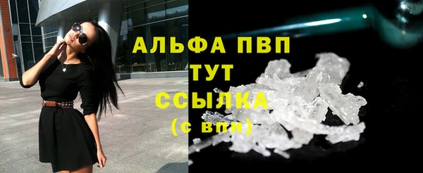 мяу мяу мука Инта