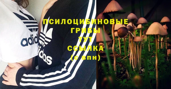 мяу мяу мука Инта