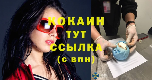 мяу мяу мука Инта