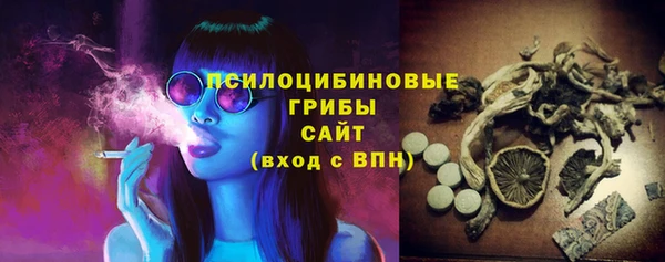 мяу мяу мука Инта
