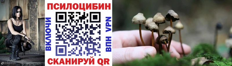 даркнет сайт  Миасс  Псилоцибиновые грибы Psilocybe 