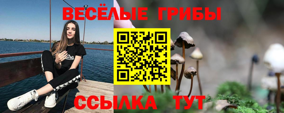 Галлюциногенные грибы Cubensis  Псилоцибиновые грибы GOLDEN TEACHER  Вход с VPN  хочу   Миасс 
